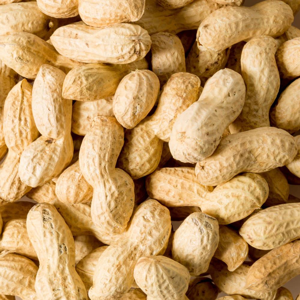 peanuts